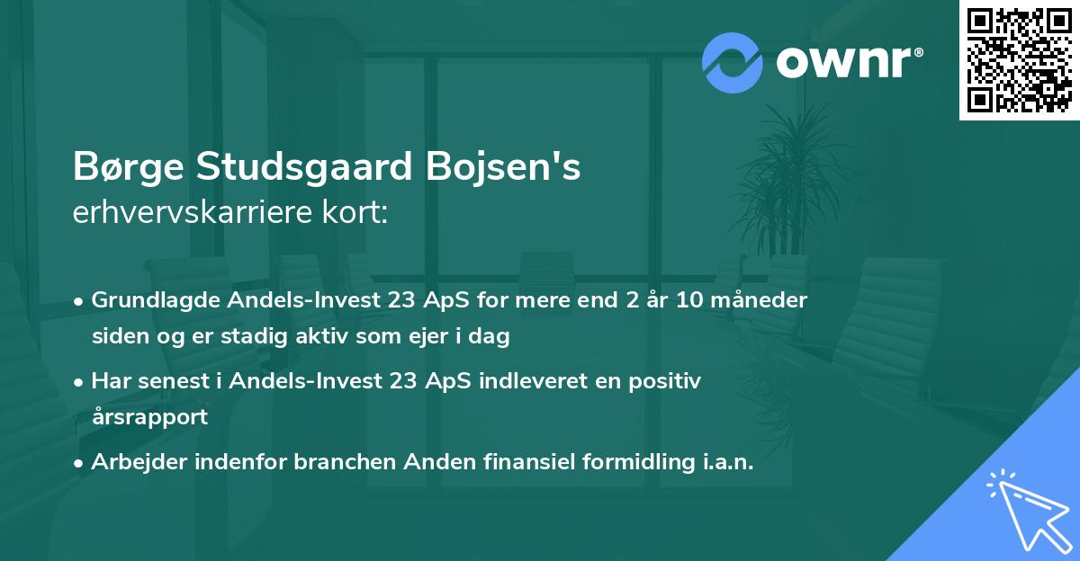 Børge Studsgaard Bojsen's erhvervskarriere kort