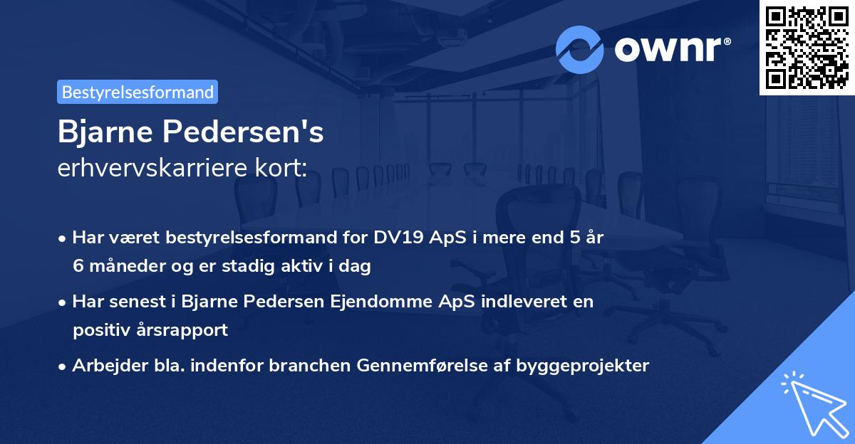 Bjarne Pedersen's erhvervskarriere kort