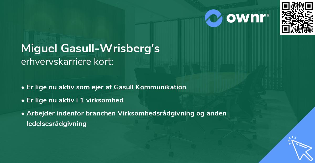 Miguel Gasull-Wrisberg's erhvervskarriere kort
