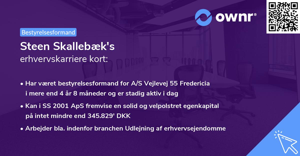 Steen Skallebæk's erhvervskarriere kort