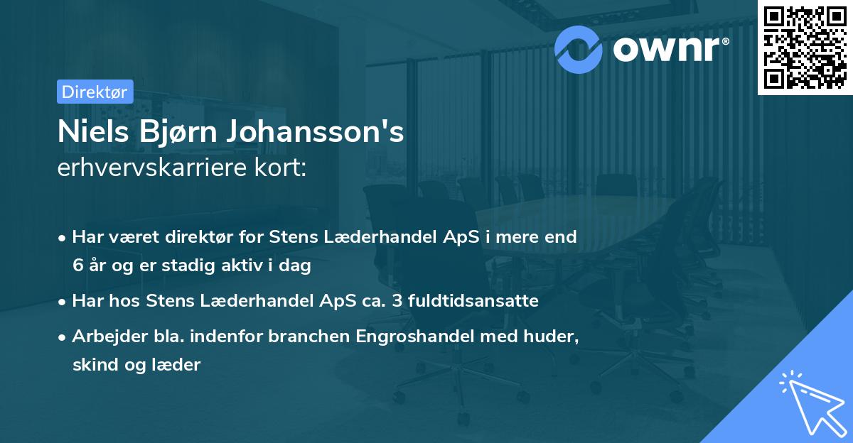 Niels Bjørn Johansson's erhvervskarriere kort