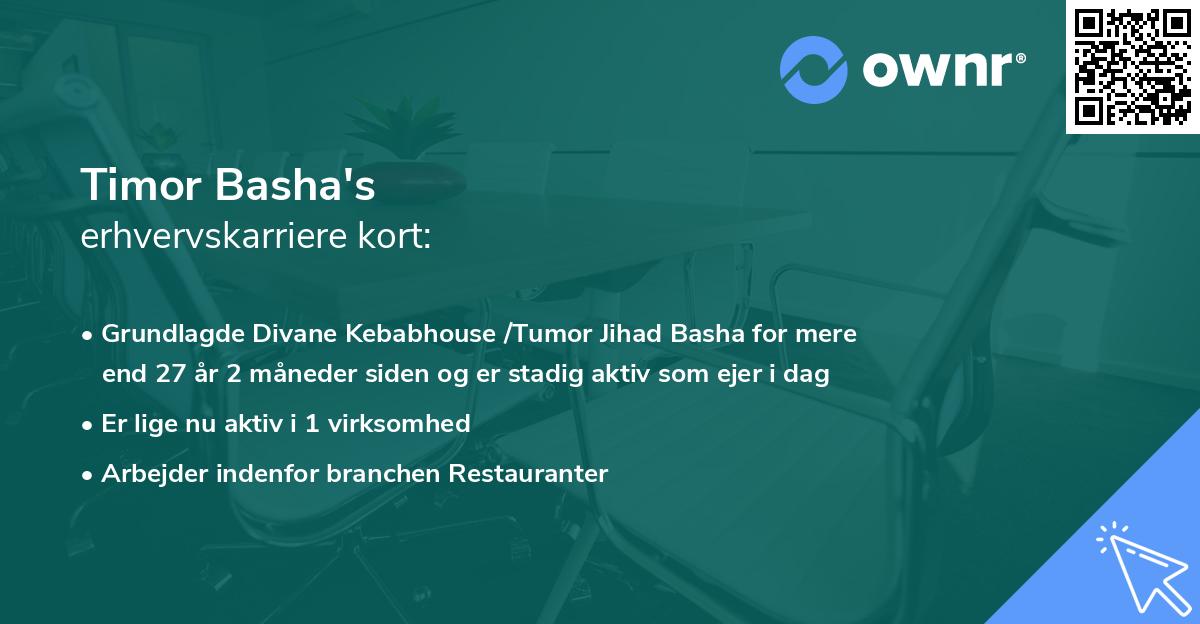 Timor Basha's erhvervskarriere kort