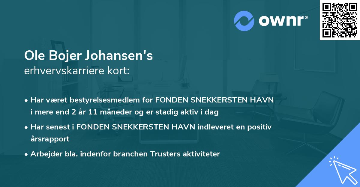 Ole Bojer Johansen's erhvervskarriere kort