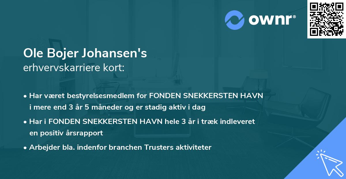 Ole Bojer Johansen's erhvervskarriere kort