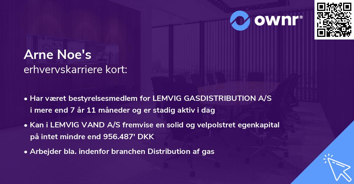 Arne Noe's erhvervskarriere kort