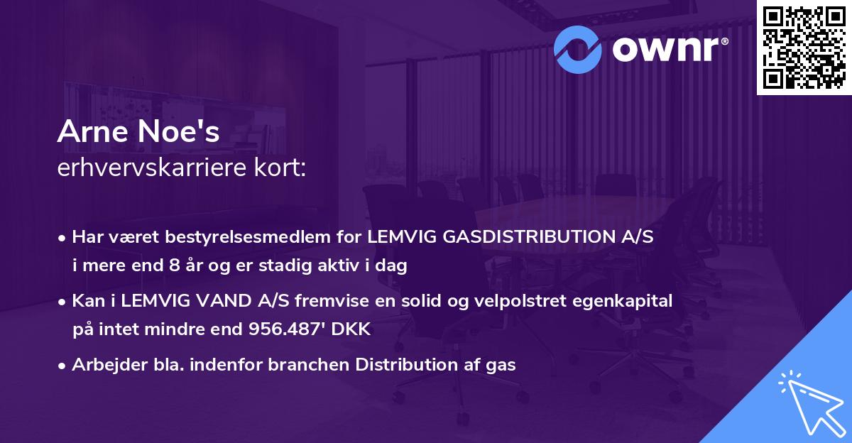 Arne Noe's erhvervskarriere kort