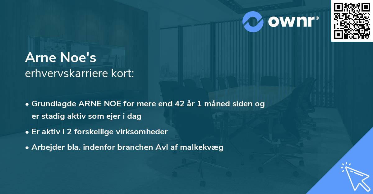 Arne Noe's erhvervskarriere kort