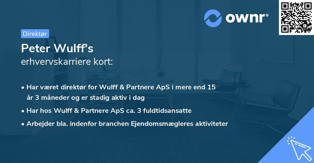 Peter Wulff's erhvervskarriere kort