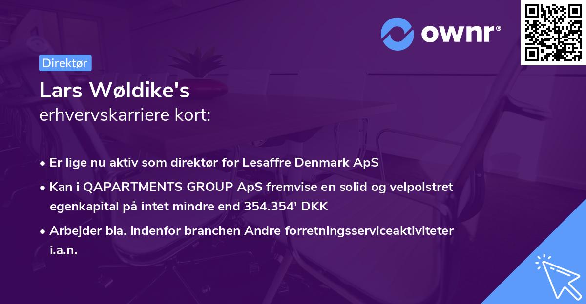 Lars Wøldike's erhvervskarriere kort