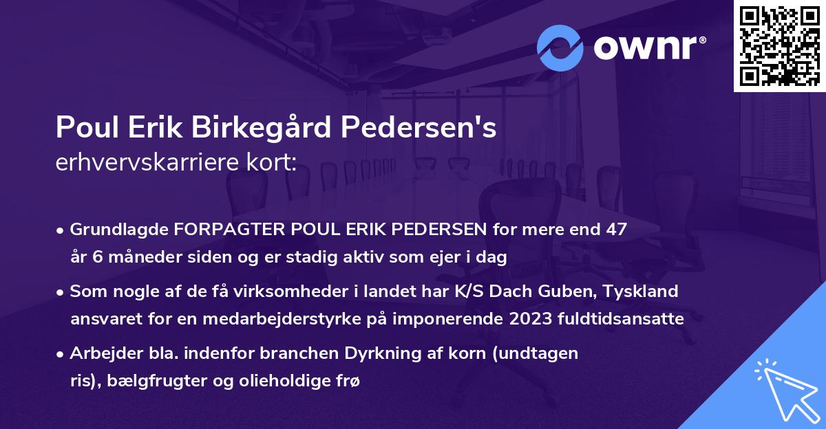 Poul Erik Birkegård Pedersen's erhvervskarriere kort