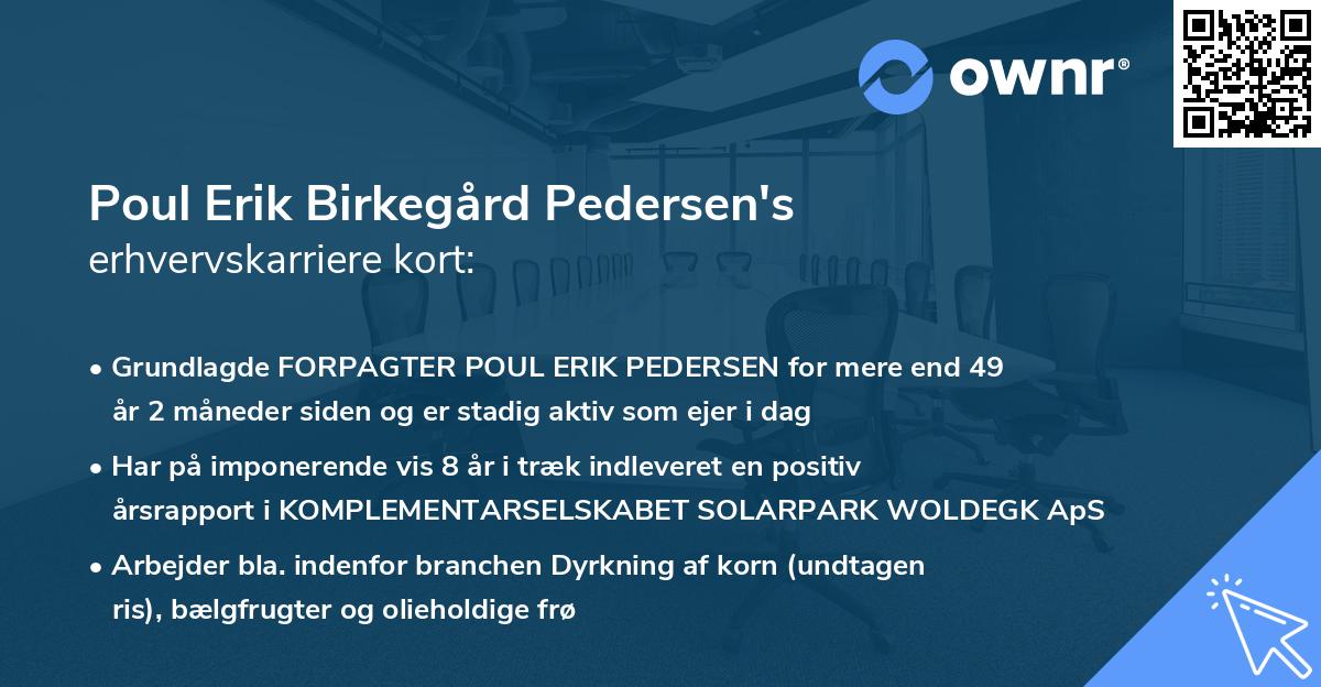 Poul Erik Birkegård Pedersen's erhvervskarriere kort