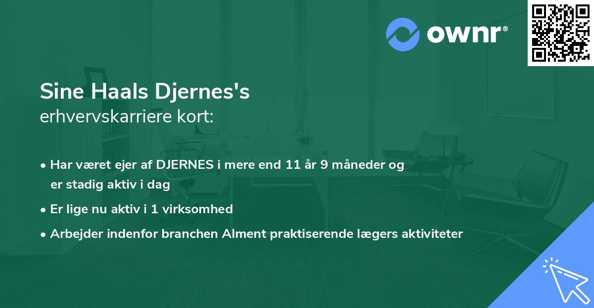 Sine Haals Djernes's erhvervskarriere kort