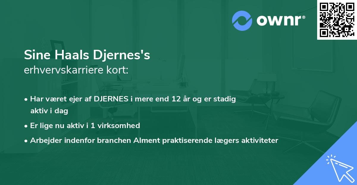 Sine Haals Djernes's erhvervskarriere kort