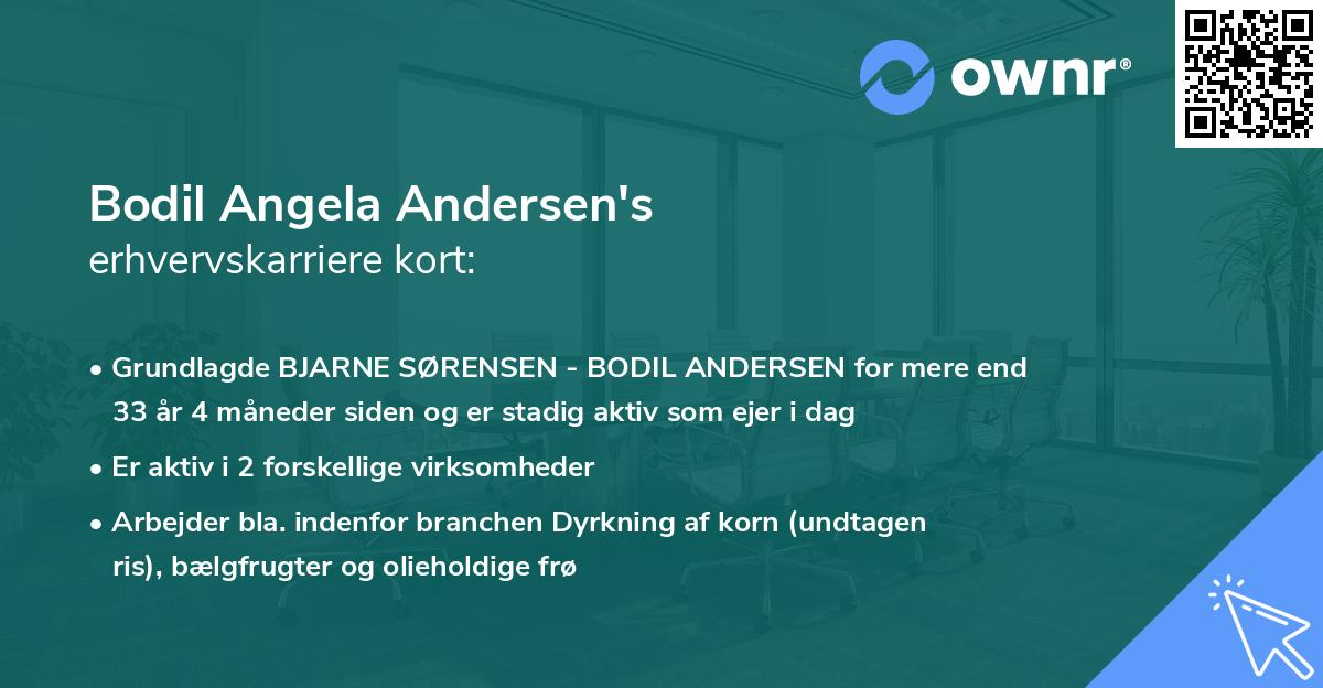 Bodil Angela Andersen's erhvervskarriere kort