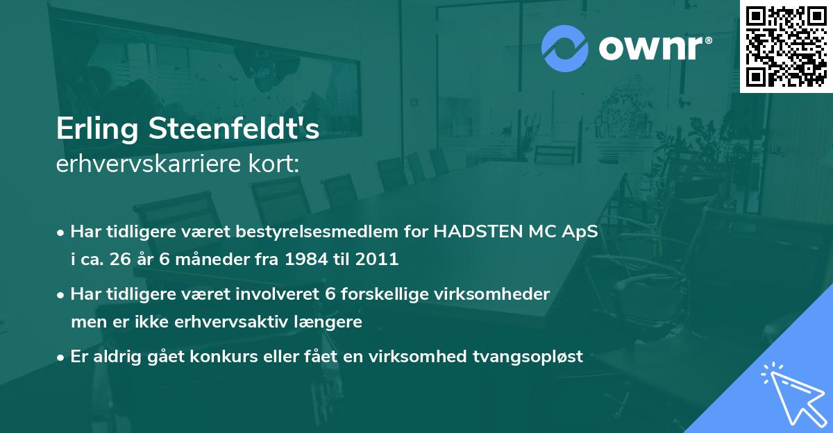 Erling Steenfeldt's erhvervskarriere kort