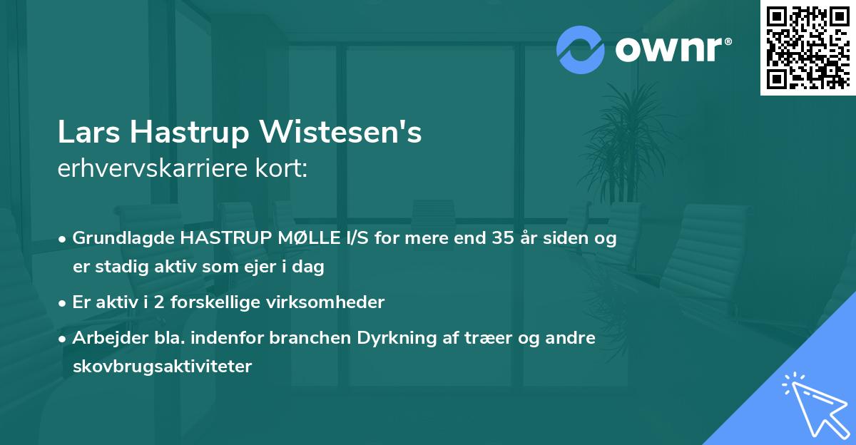 Lars Hastrup Wistesen's erhvervskarriere kort