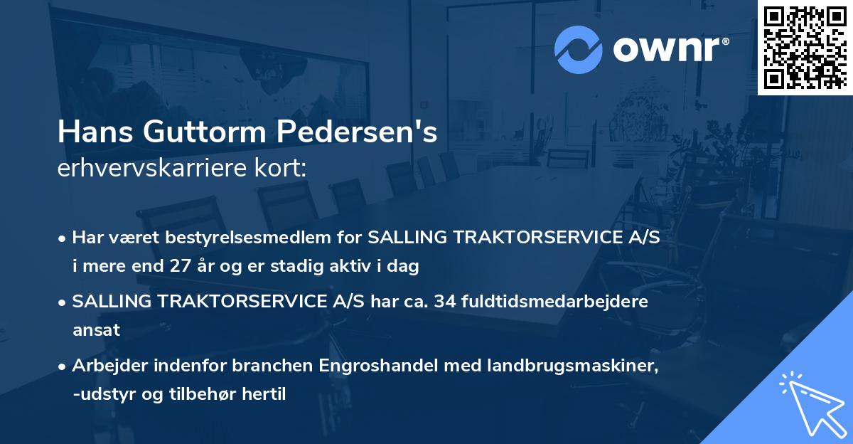 Hans Guttorm Pedersen's erhvervskarriere kort