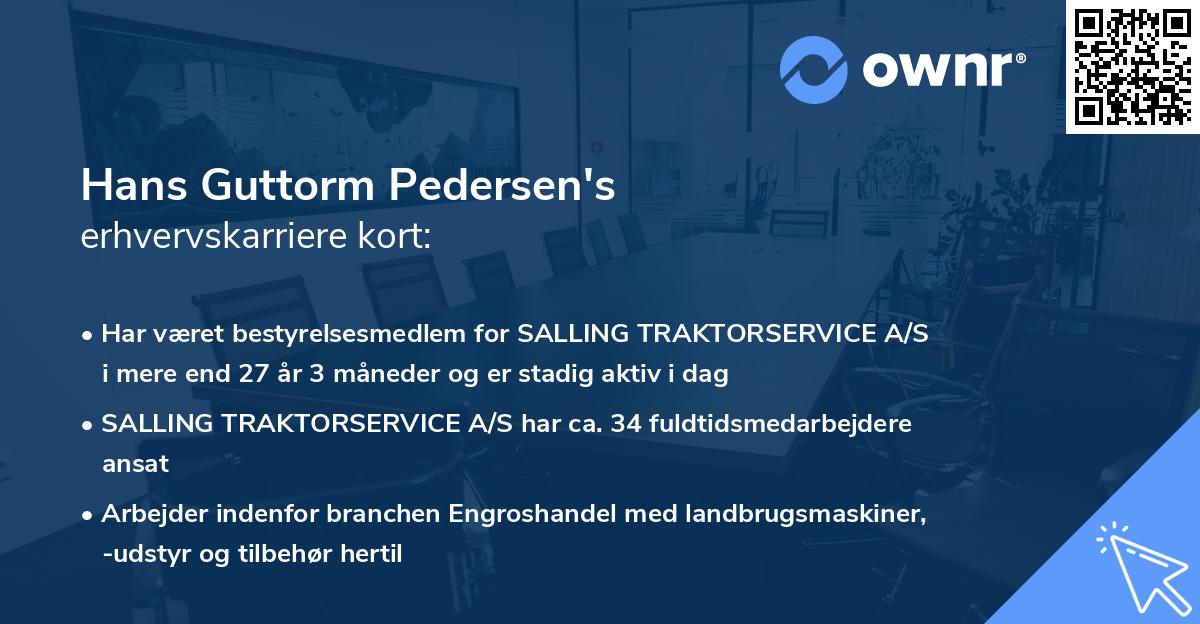 Hans Guttorm Pedersen's erhvervskarriere kort