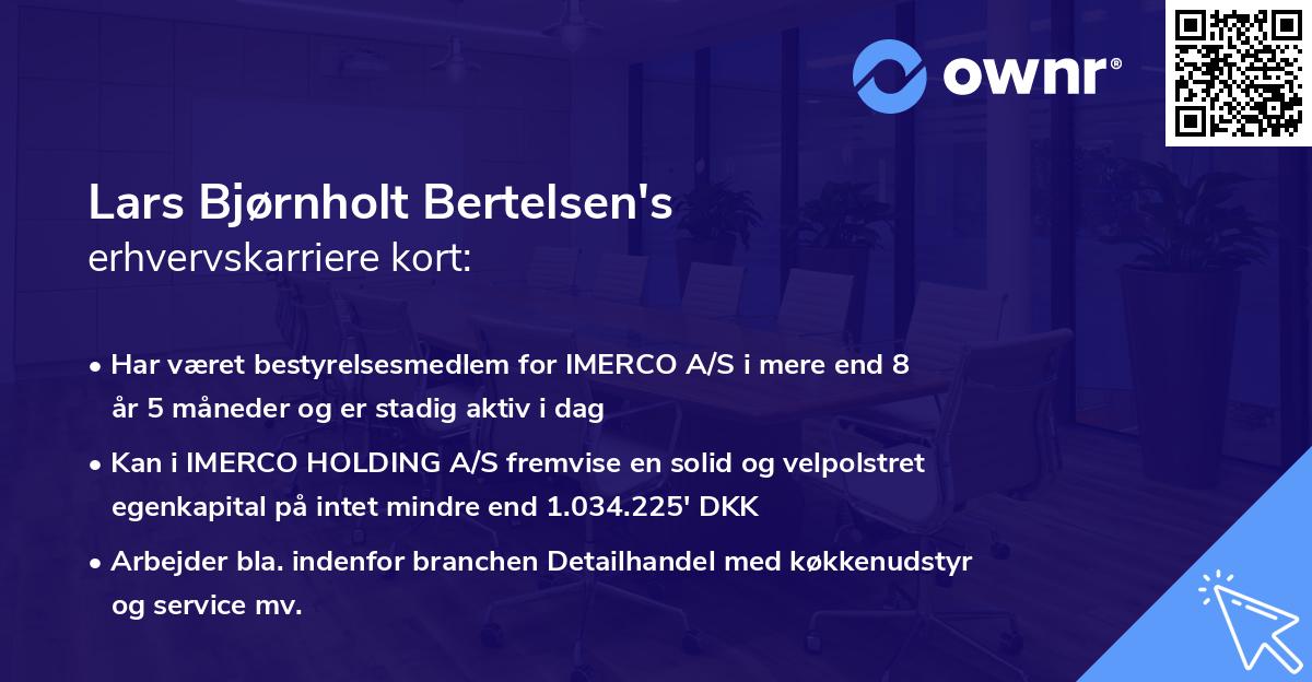 Lars Bjørnholt Bertelsen's erhvervskarriere kort
