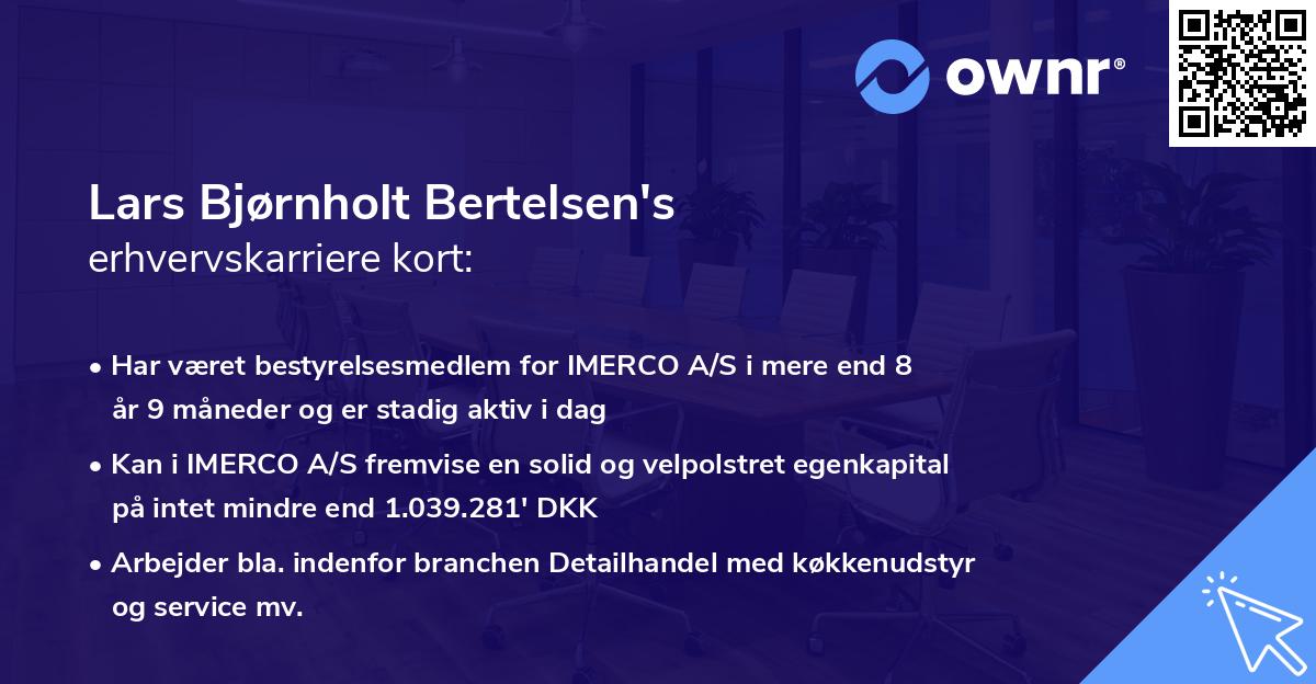 Lars Bjørnholt Bertelsen's erhvervskarriere kort