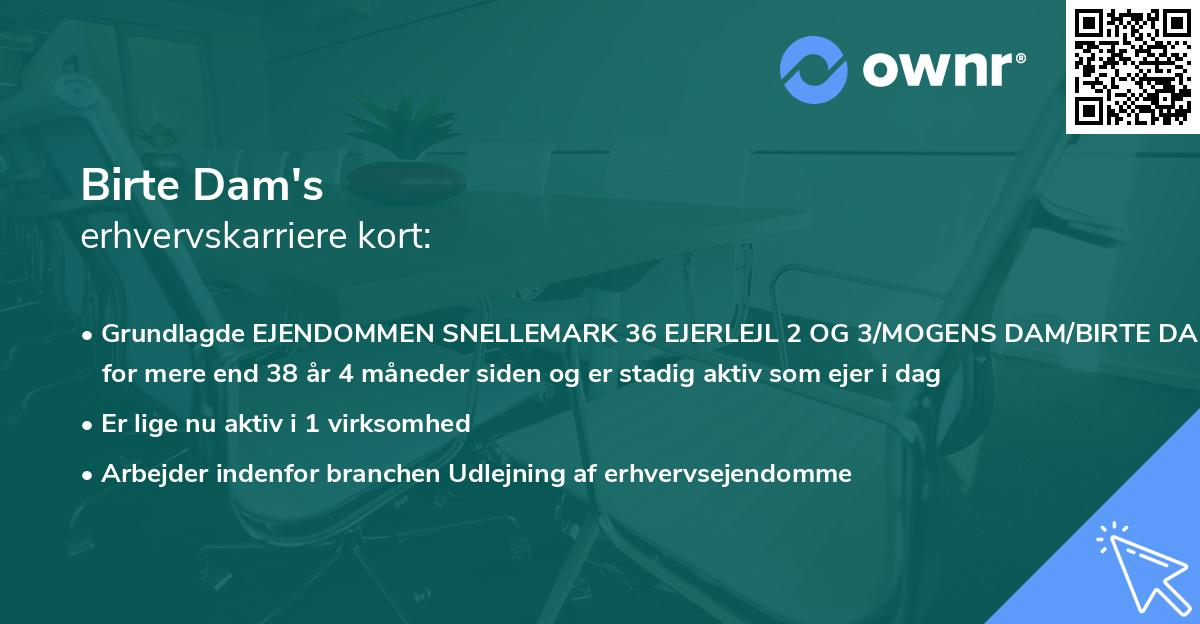 Birte Dam's erhvervskarriere kort
