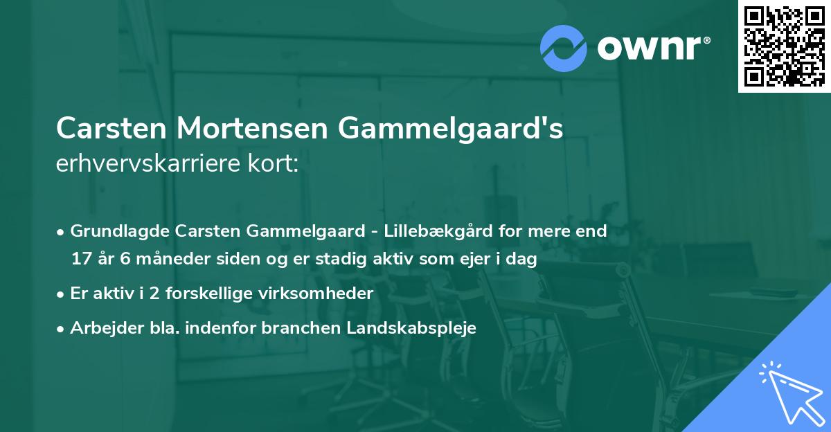 Carsten Mortensen Gammelgaard's erhvervskarriere kort