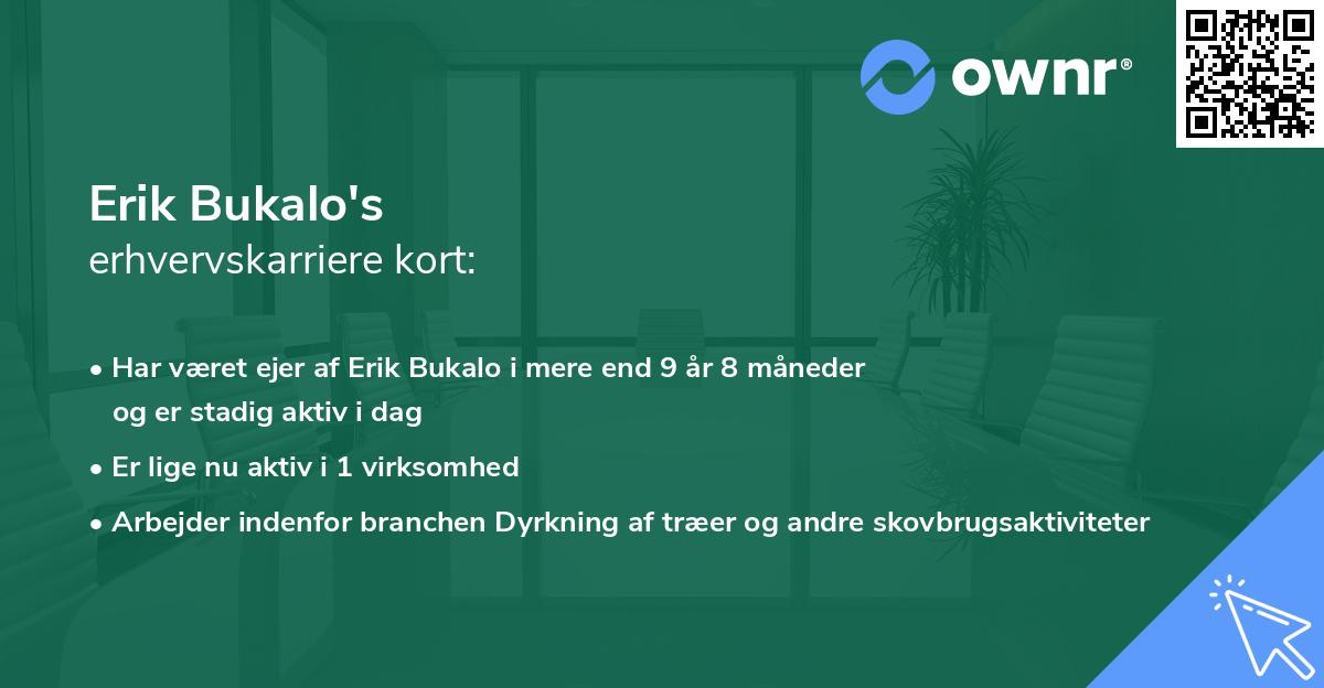 Erik Bukalo's erhvervskarriere kort