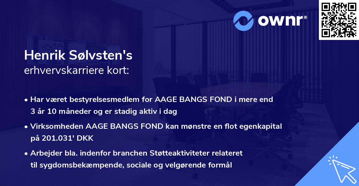 Henrik Sølvsten's erhvervskarriere kort