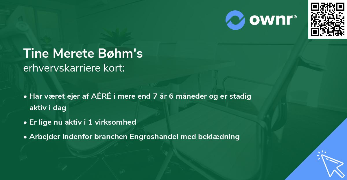 Tine Merete Bøhm's erhvervskarriere kort