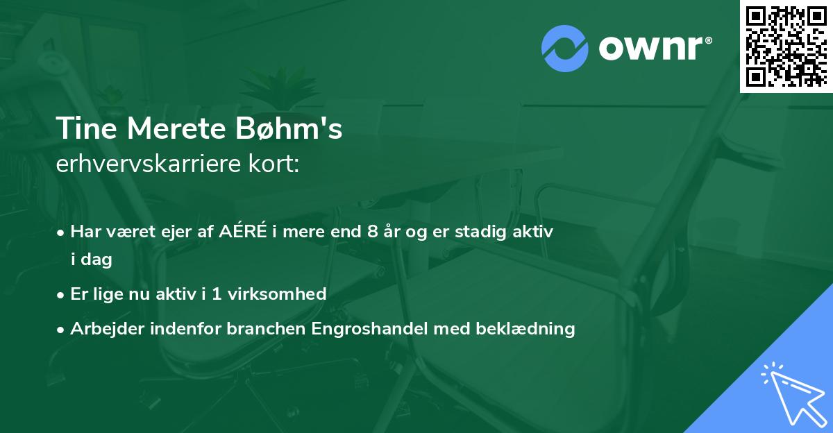 Tine Merete Bøhm's erhvervskarriere kort