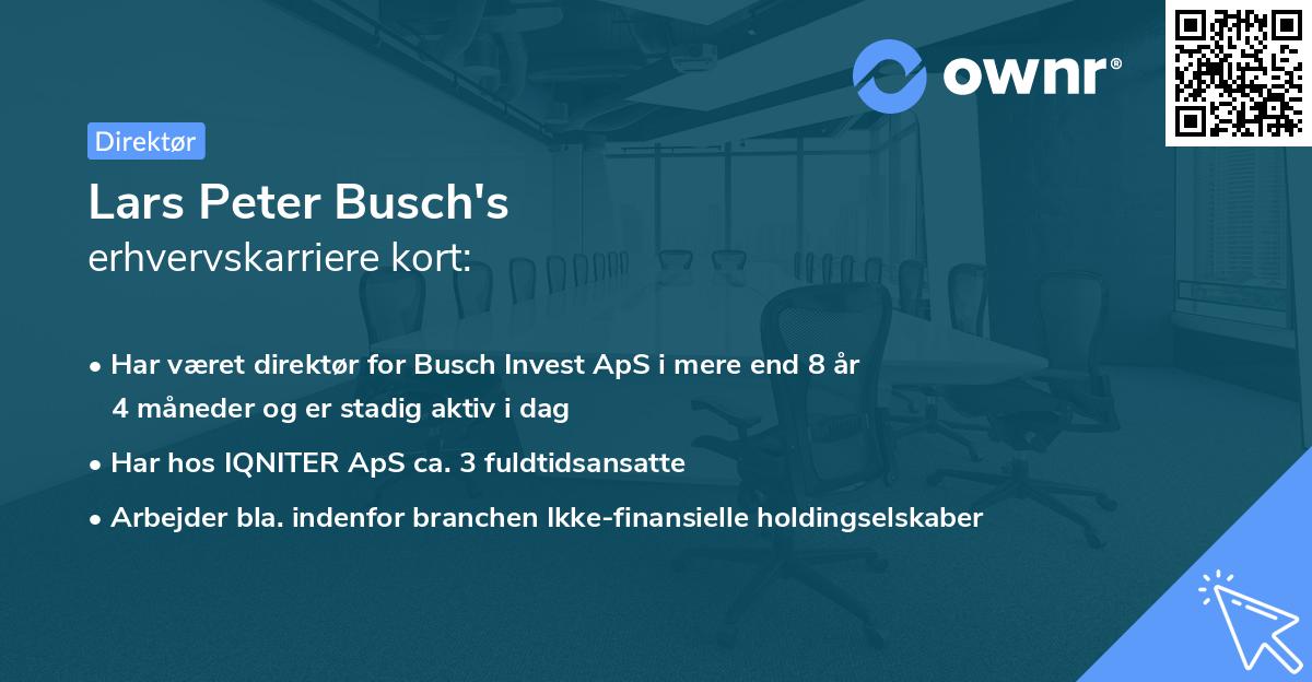 Lars Peter Busch's erhvervskarriere kort