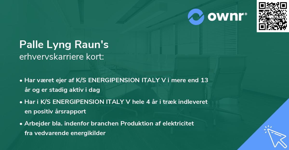 Palle Lyng Raun's erhvervskarriere kort