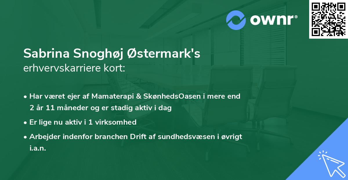Sabrina Snoghøj Østermark's erhvervskarriere kort