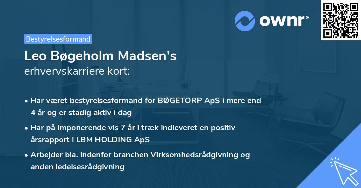 Leo Bøgeholm Madsen's erhvervskarriere kort
