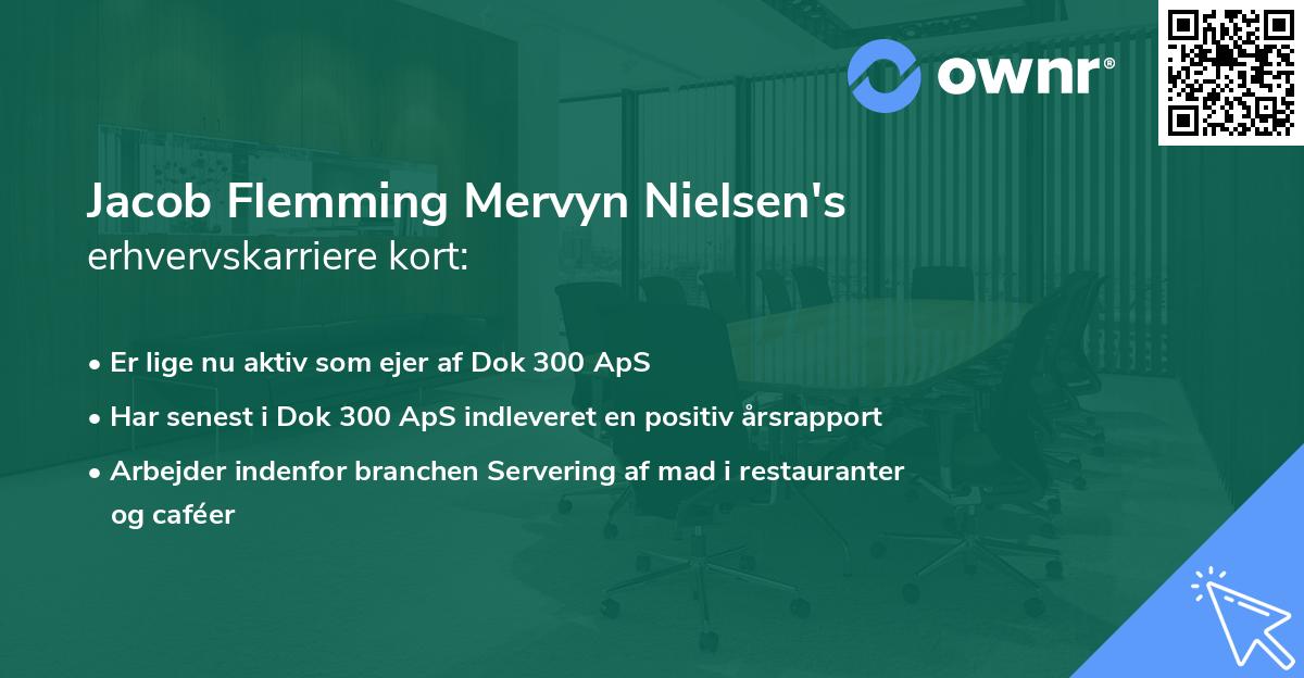 Jacob Flemming Mervyn Nielsen's erhvervskarriere kort