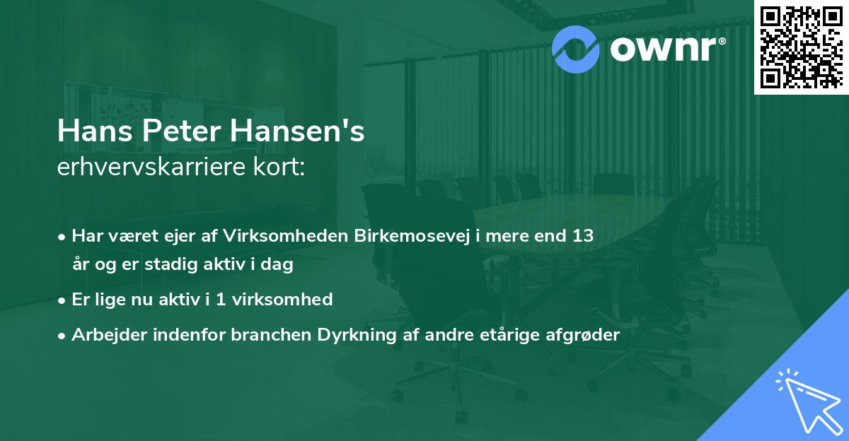 Hans Peter Hansen's erhvervskarriere kort