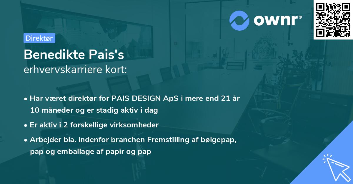 Benedikte Pais's erhvervskarriere kort