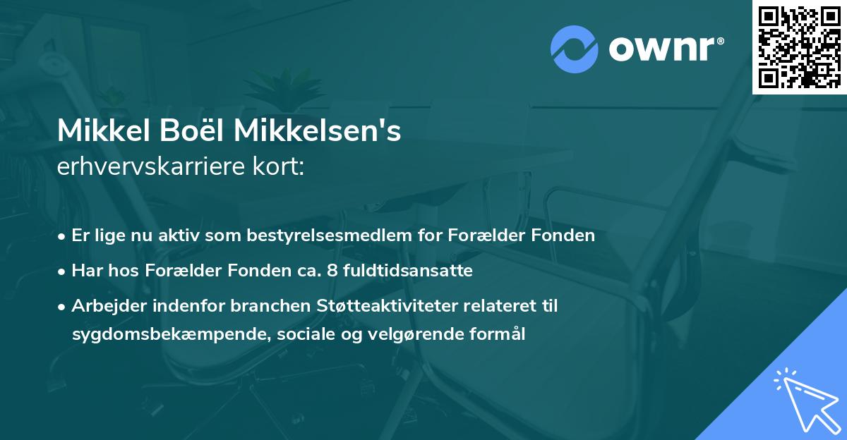 Mikkel Boël Mikkelsen's erhvervskarriere kort