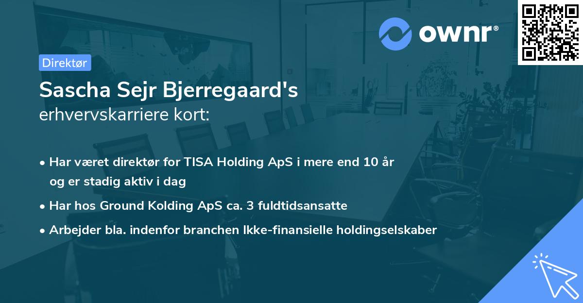 Sascha Sejr Bjerregaard's erhvervskarriere kort