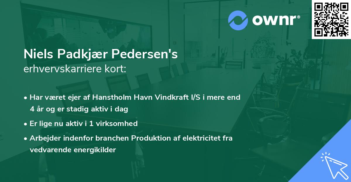 Niels Padkjær Pedersen's erhvervskarriere kort