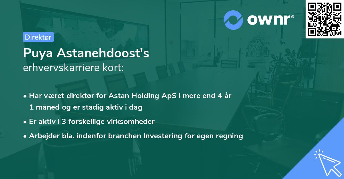 Puya Astanehdoost's erhvervskarriere kort