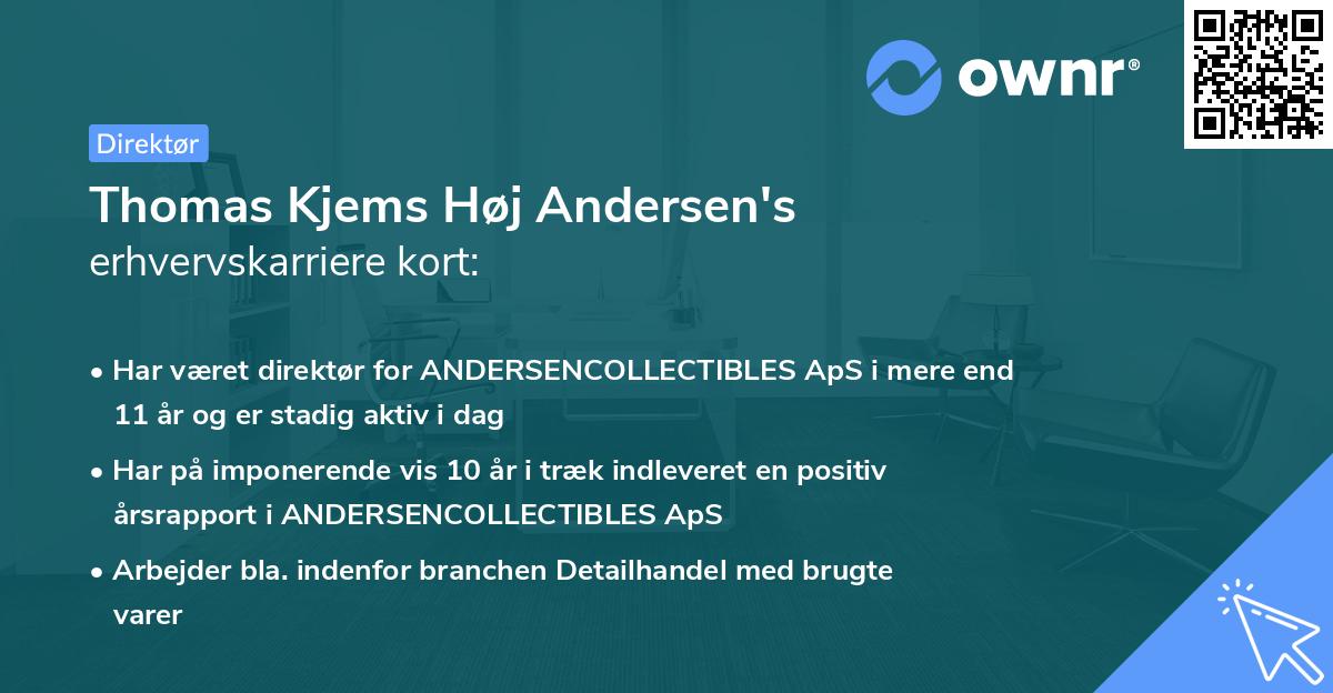 Thomas Kjems Høj Andersen's erhvervskarriere kort