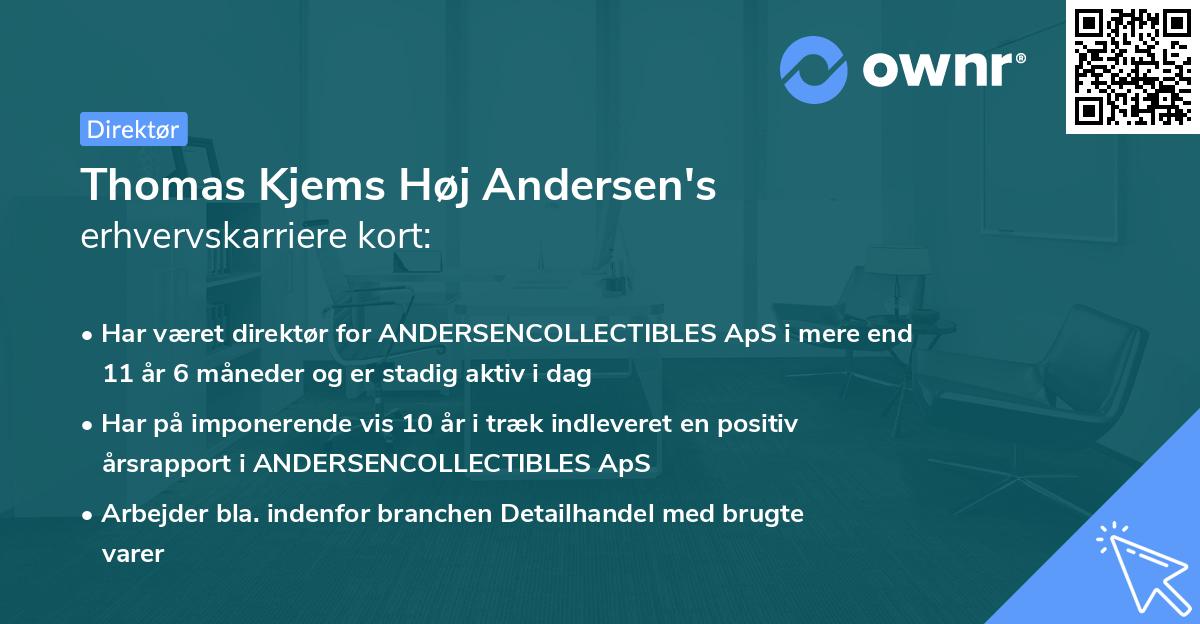 Thomas Kjems Høj Andersen's erhvervskarriere kort