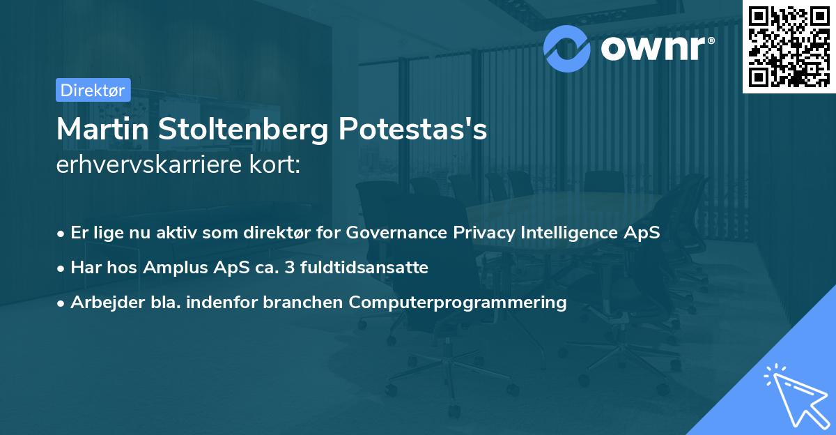 Martin Stoltenberg Potestas's erhvervskarriere kort