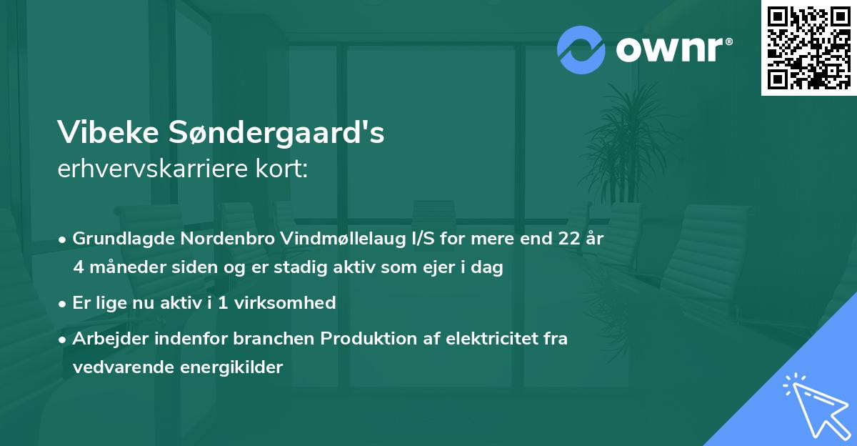 Vibeke Søndergaard's erhvervskarriere kort