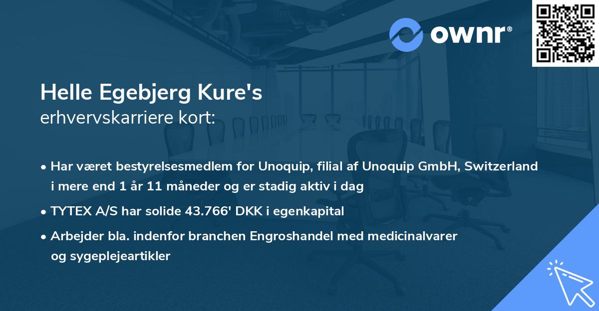 Helle Egebjerg Kure's erhvervskarriere kort