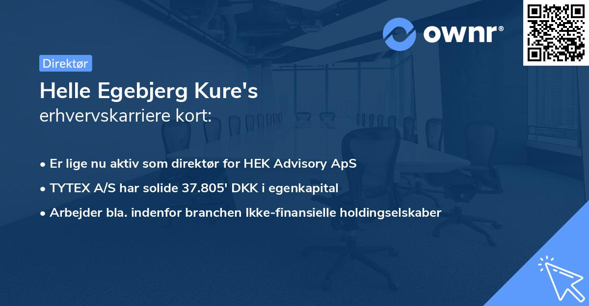 Helle Egebjerg Kure's erhvervskarriere kort