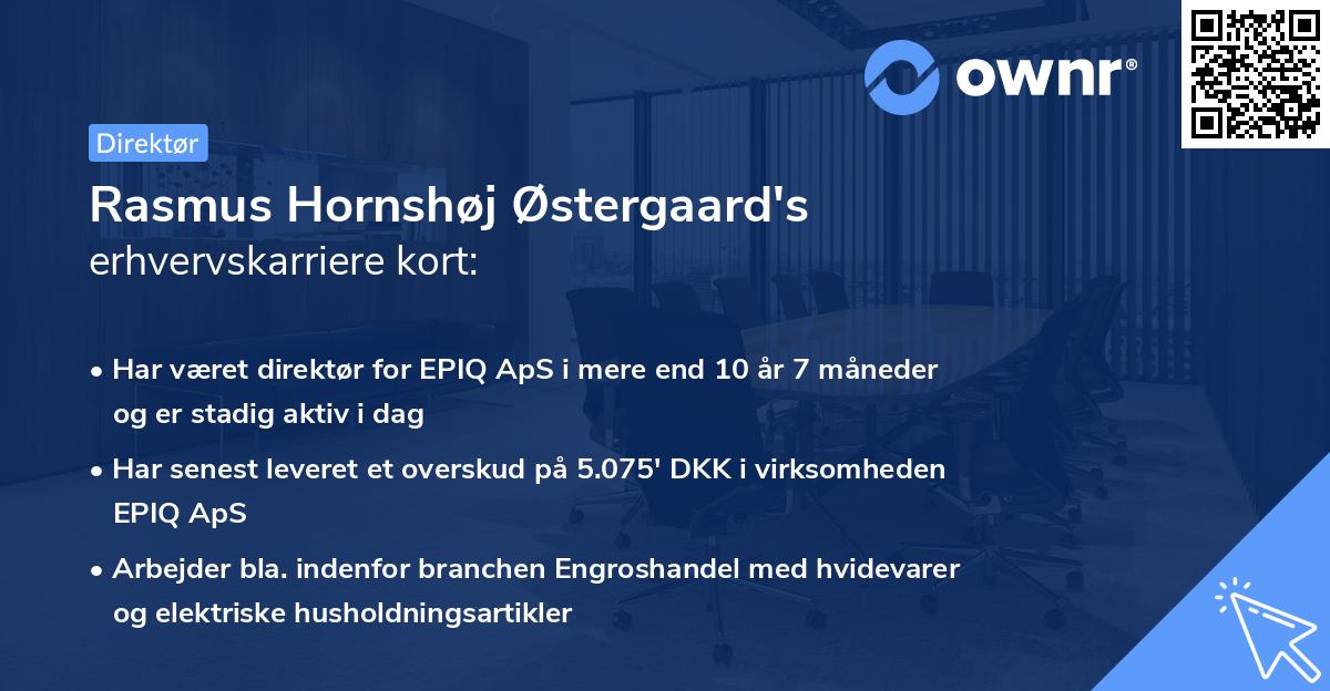 Rasmus Hornshøj Østergaard's erhvervskarriere kort