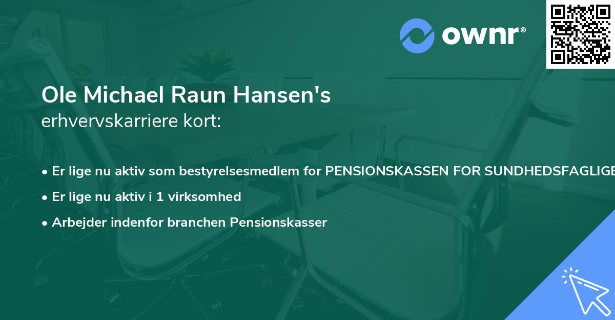 Ole Michael Raun Hansen's erhvervskarriere kort