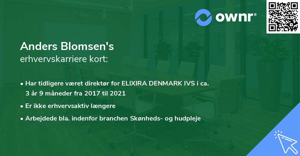 Anders Blomsen's erhvervskarriere kort